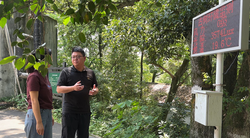 科技管護精準防治 皖屯溪區讓「綠色文物」煥發新活力