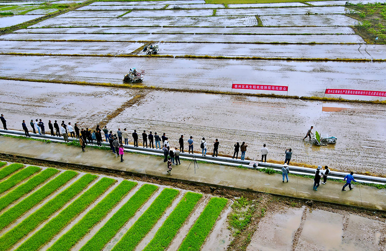 率先建成！打造山區特色農事服務綜合體之「徽州樣板」