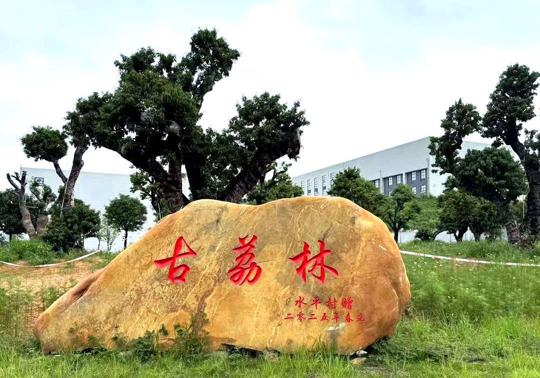 荔枝甜香邂逅「超級顯微鏡」 演繹自然與科技共生之美