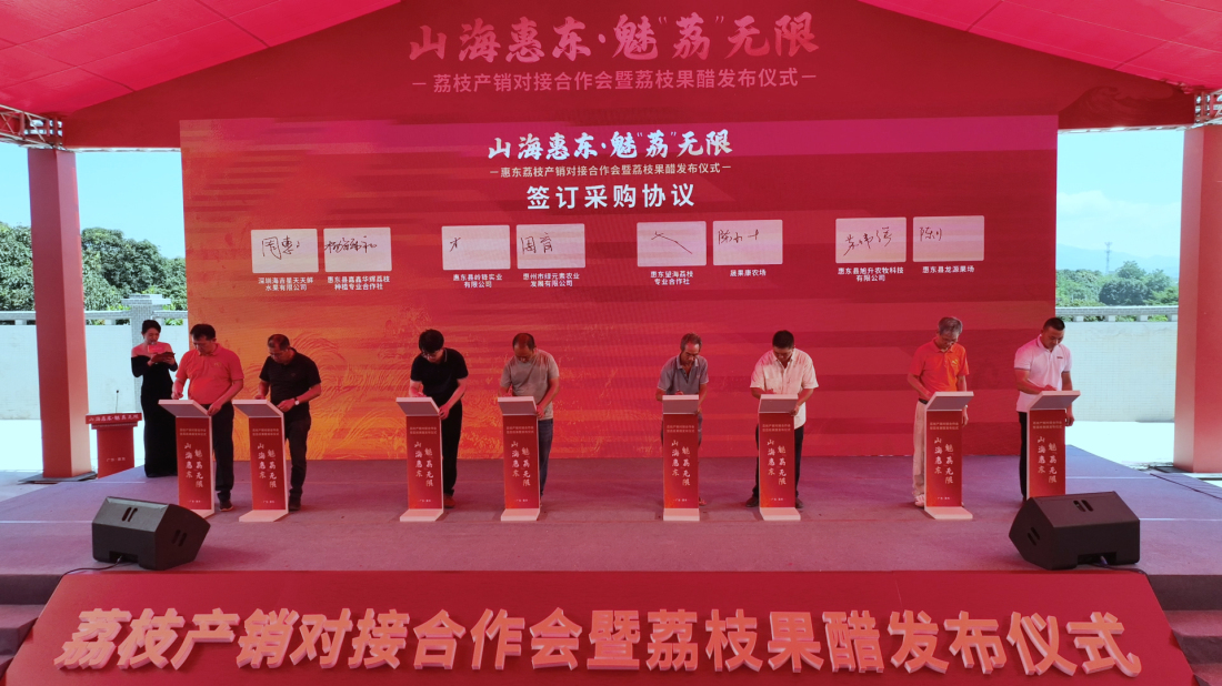 助推形成「種得出、賣得好」的良性產銷循環  惠東縣舉行荔枝產銷對接會暨荔枝果醋發布活動