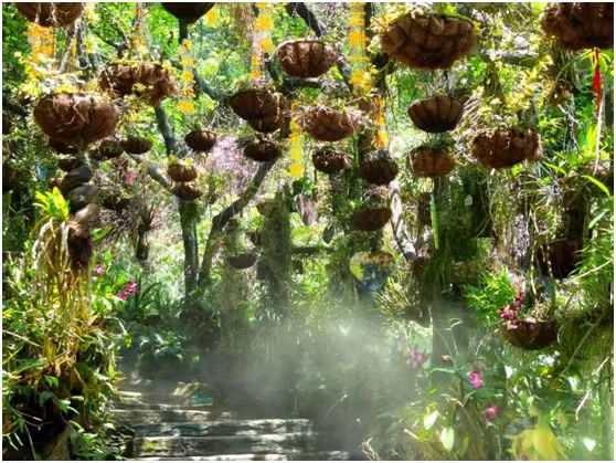 雲南文山：旅居雲南升級版—康養生活