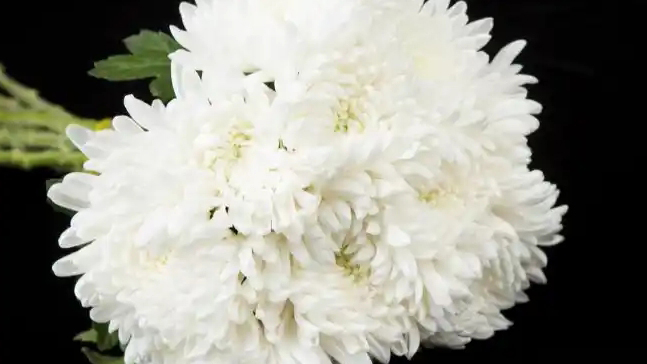 全國人大常委會原副委員長熱地同志逝世