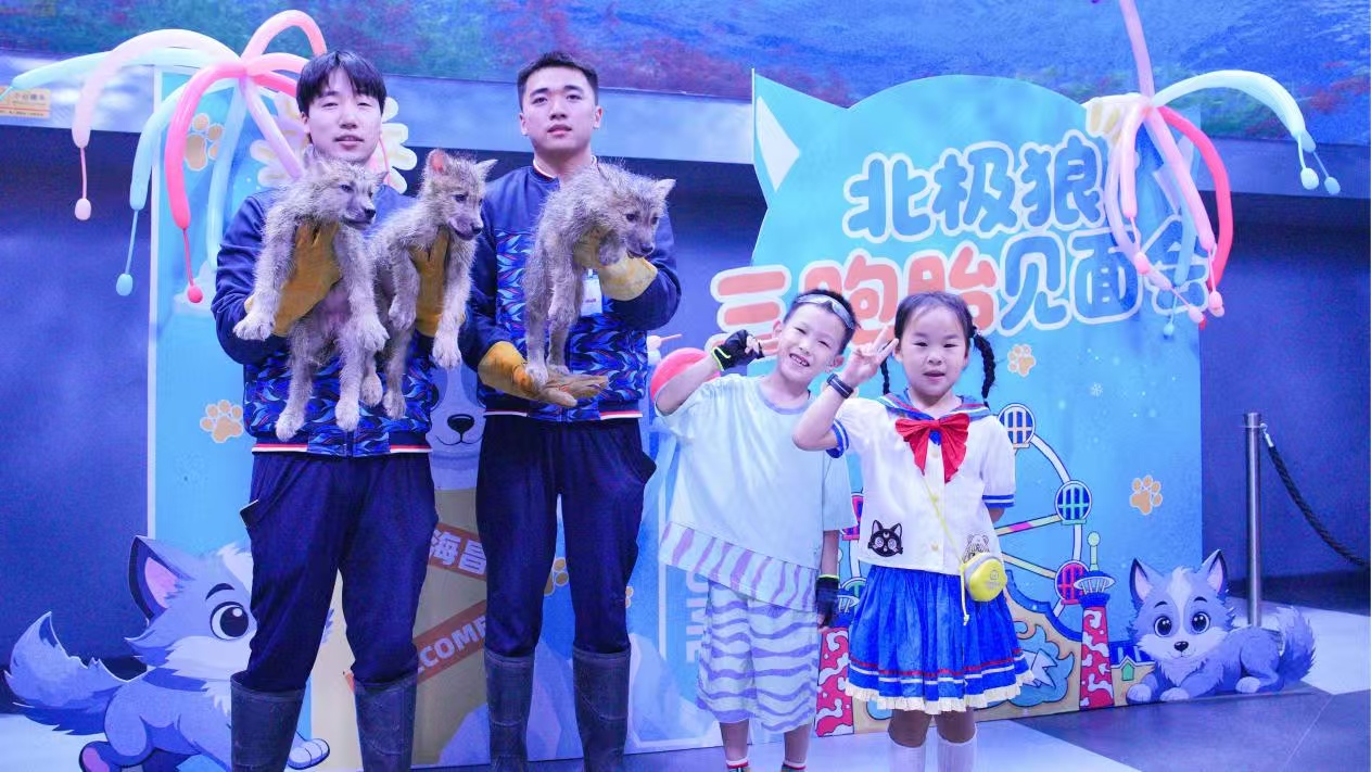 鄭州海昌喜添「三千金」 世界海洋日校企聯合呼籲海洋環保