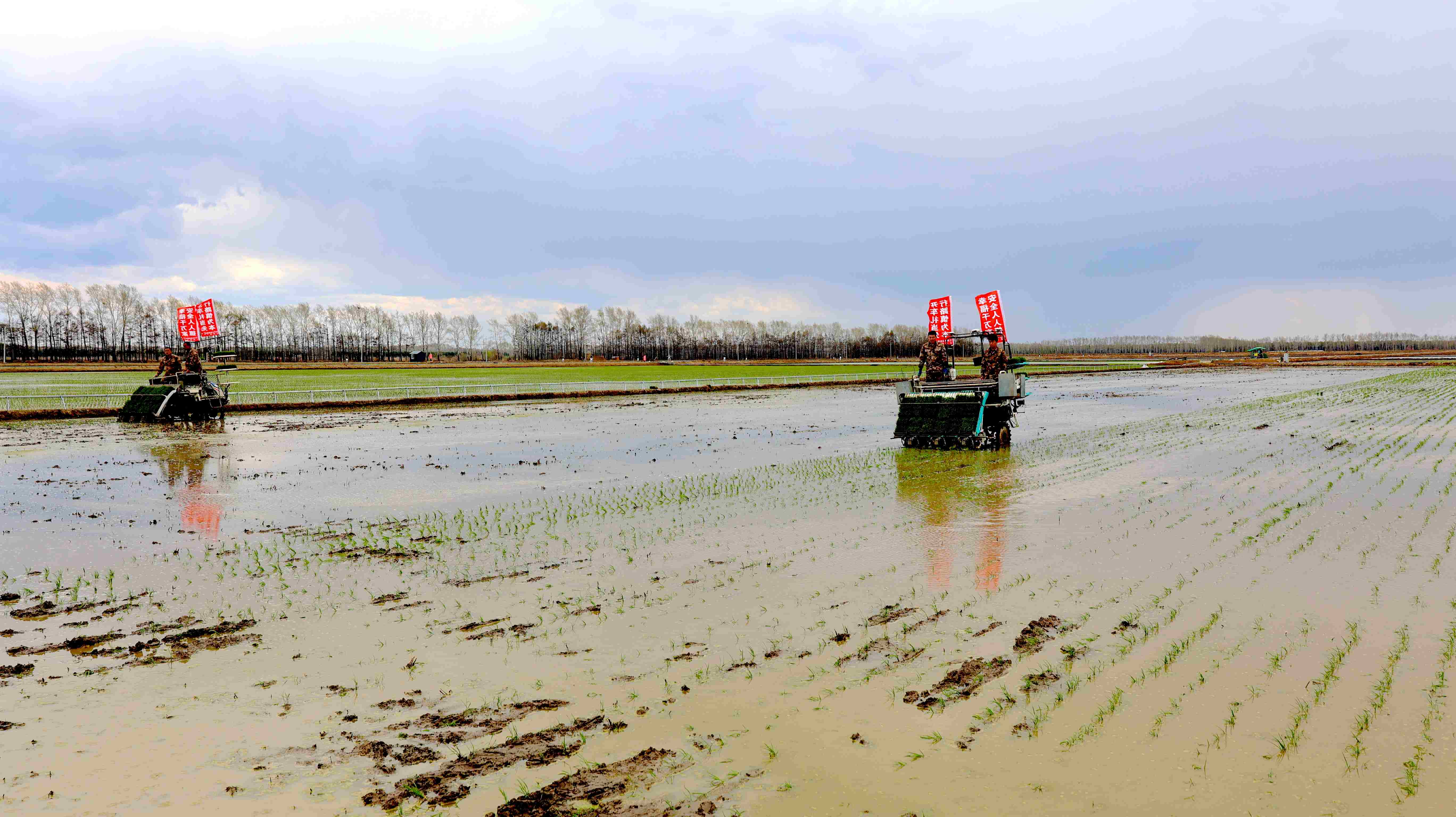 北大荒江濱分公司：現代農機奏響沃野豐歌
