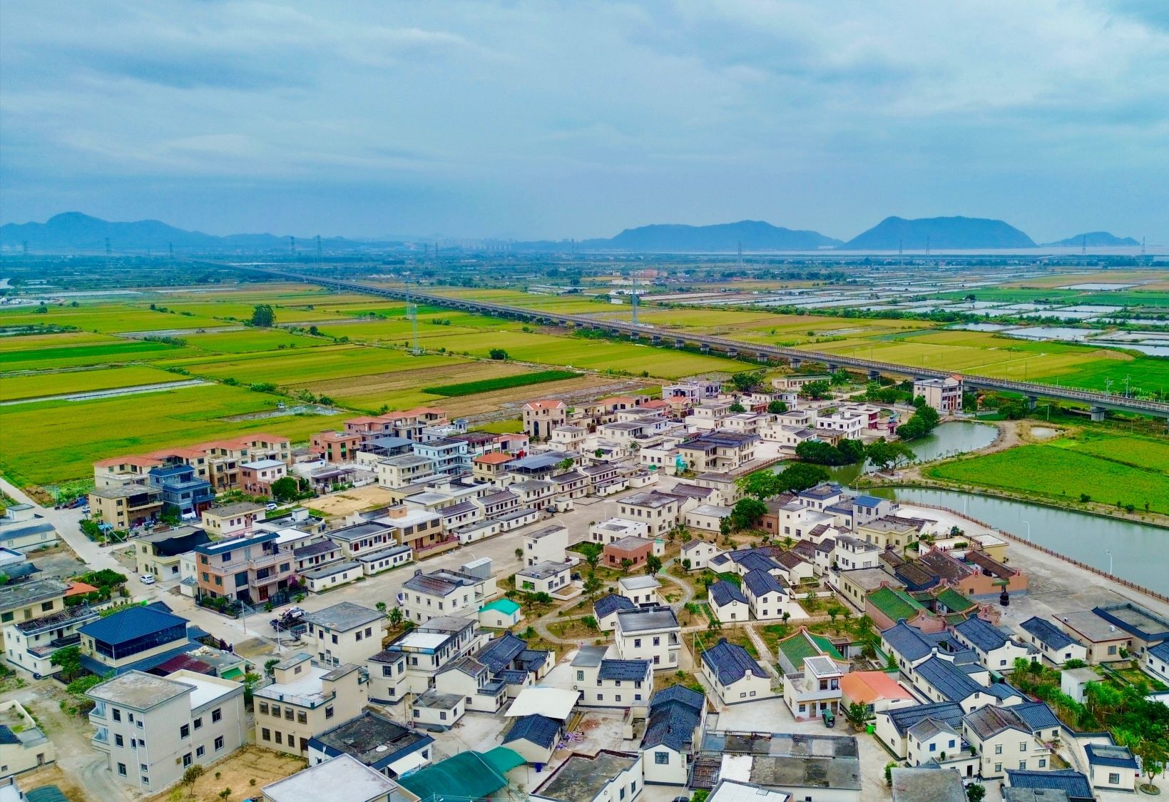 汕尾首推「強村公司+鄉村工匠」新模式   城鄉風貌提「質」增「顏」