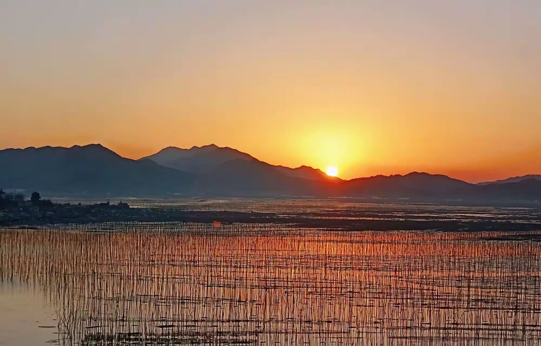 【長在隨筆】你的笑容，留在我的記憶里