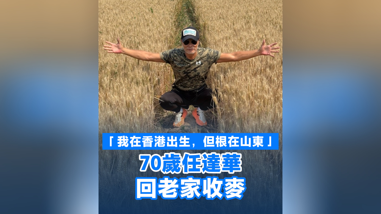 有片丨「我在香港出生，但根在山東」70歲任達華回老家收麥
