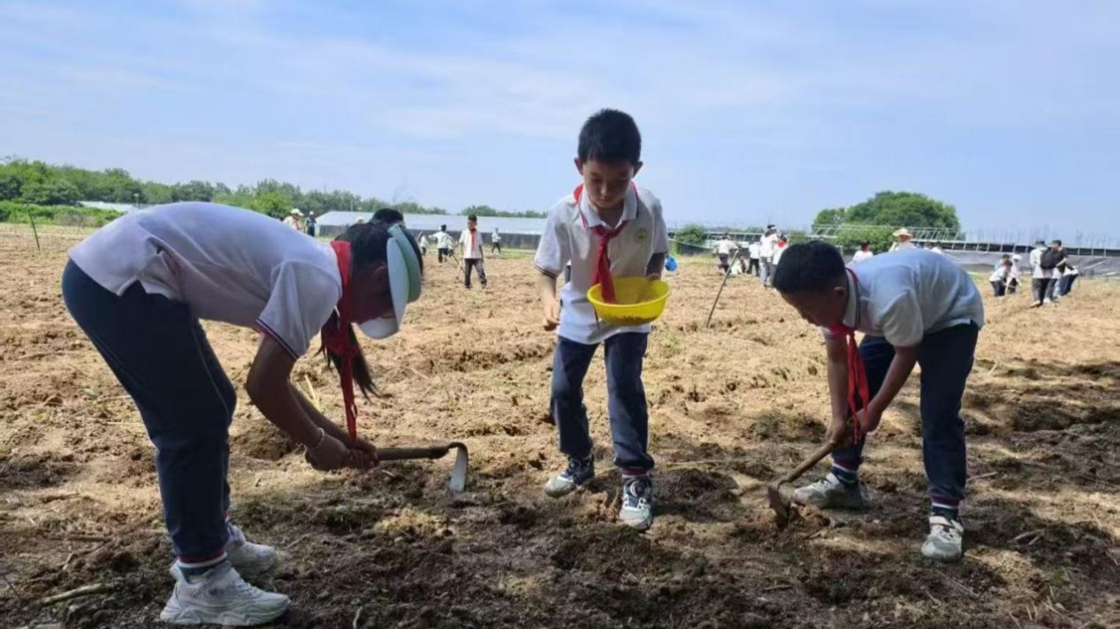 皖徽州區：打造「第二課堂」 提升「雙減」成效