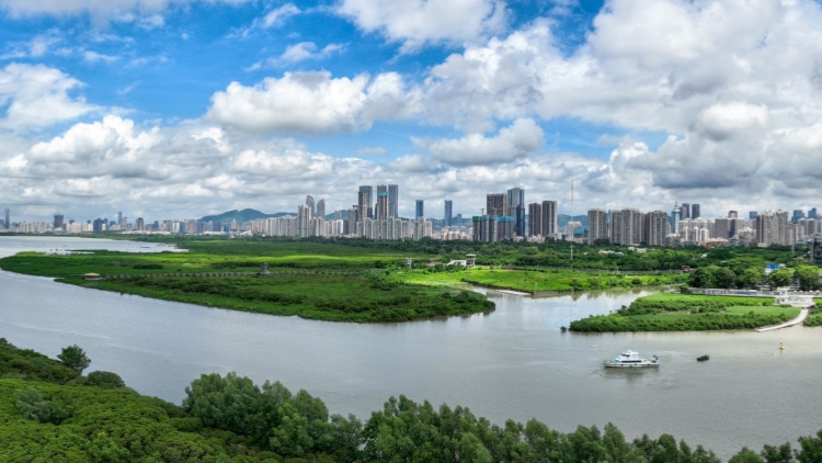 深圳擬推住房公積金付購房首付款