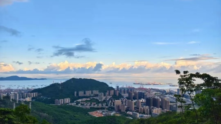 南山區第八屆大學生社會創新項目大賽啟動報名