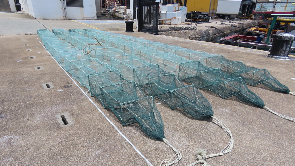 一艘本地漁船涉非法使用蛇籠捕魚 船長及6名內地漁工接受調查