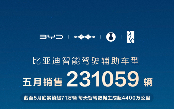 比亞迪5月智能駕駛輔助車型銷量井噴，國內占比飆升至79%