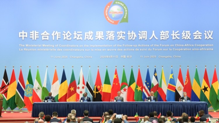 【港商觀察】中非貿易額連年攀升 「韌性密碼」寫在互利共贏中