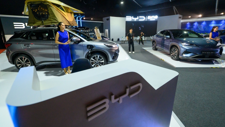 比亞迪智駕輔助車型5月銷量井噴