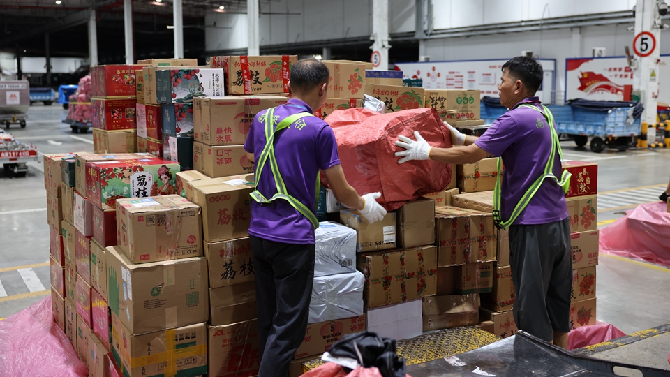 深圳機場「荔枝專線」助力嶺南荔枝「鮮」達全國