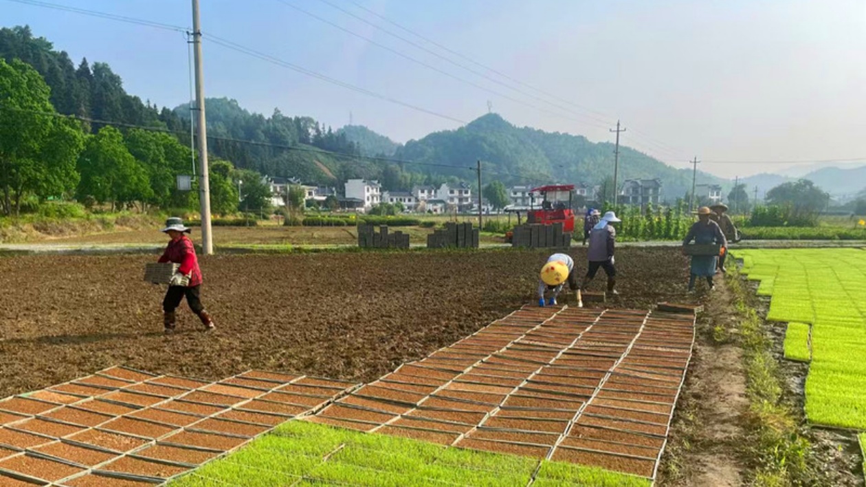 皖黟縣漁亭鎮：激活運營動能  發力集體經濟