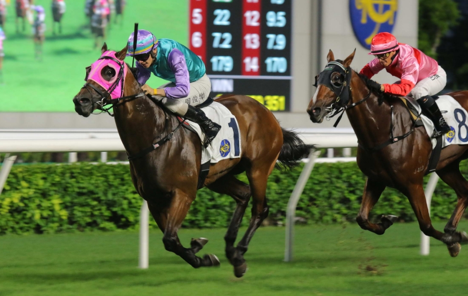 有片 | 哈羅威捧走香港大學校友會挑戰盃