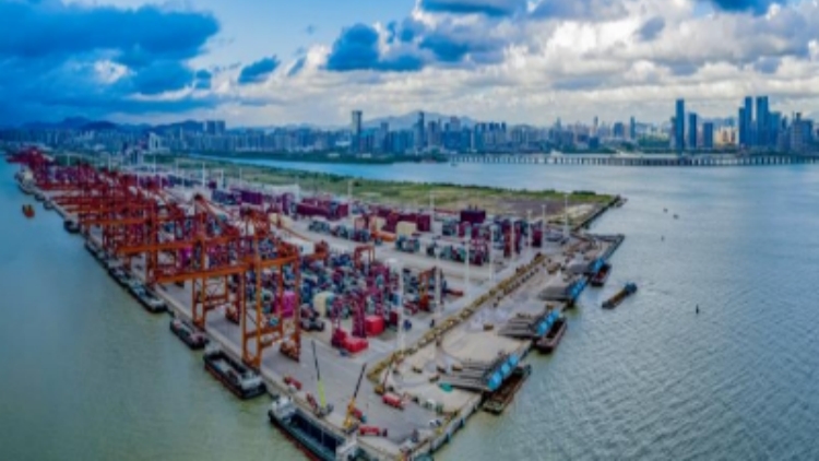 大鏟灣口岸前5月出口鋰電儲能櫃同比增819%