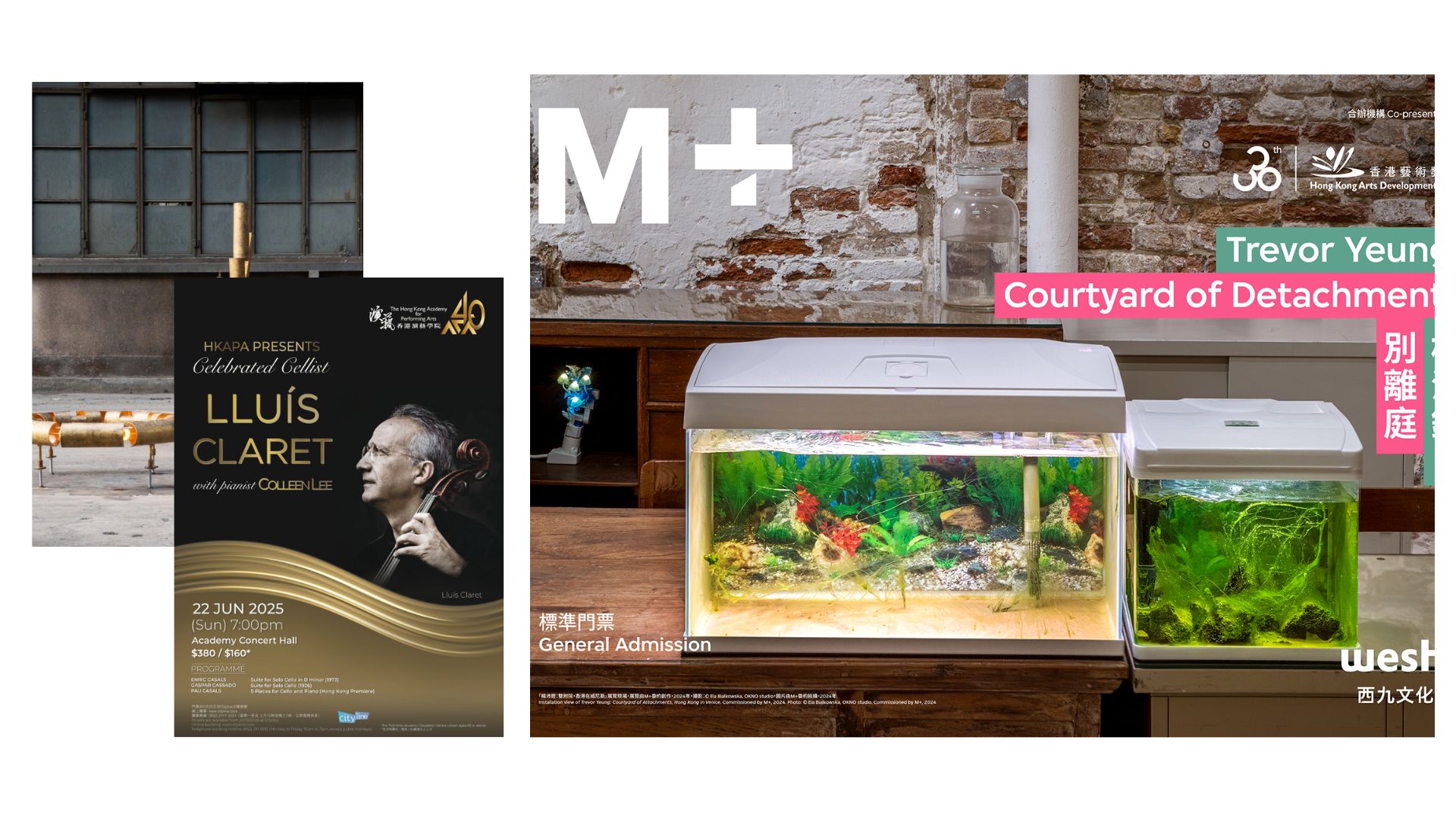 有片 | M+再現楊沛鏗威尼斯雙年展藝術裝置【一周港藝】香港文化藝術活動一周菜單（16/6-22/6）