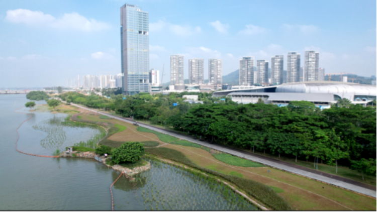 廣東深入推進全域土地綜合整治 今年46個實施方案已獲省級批覆