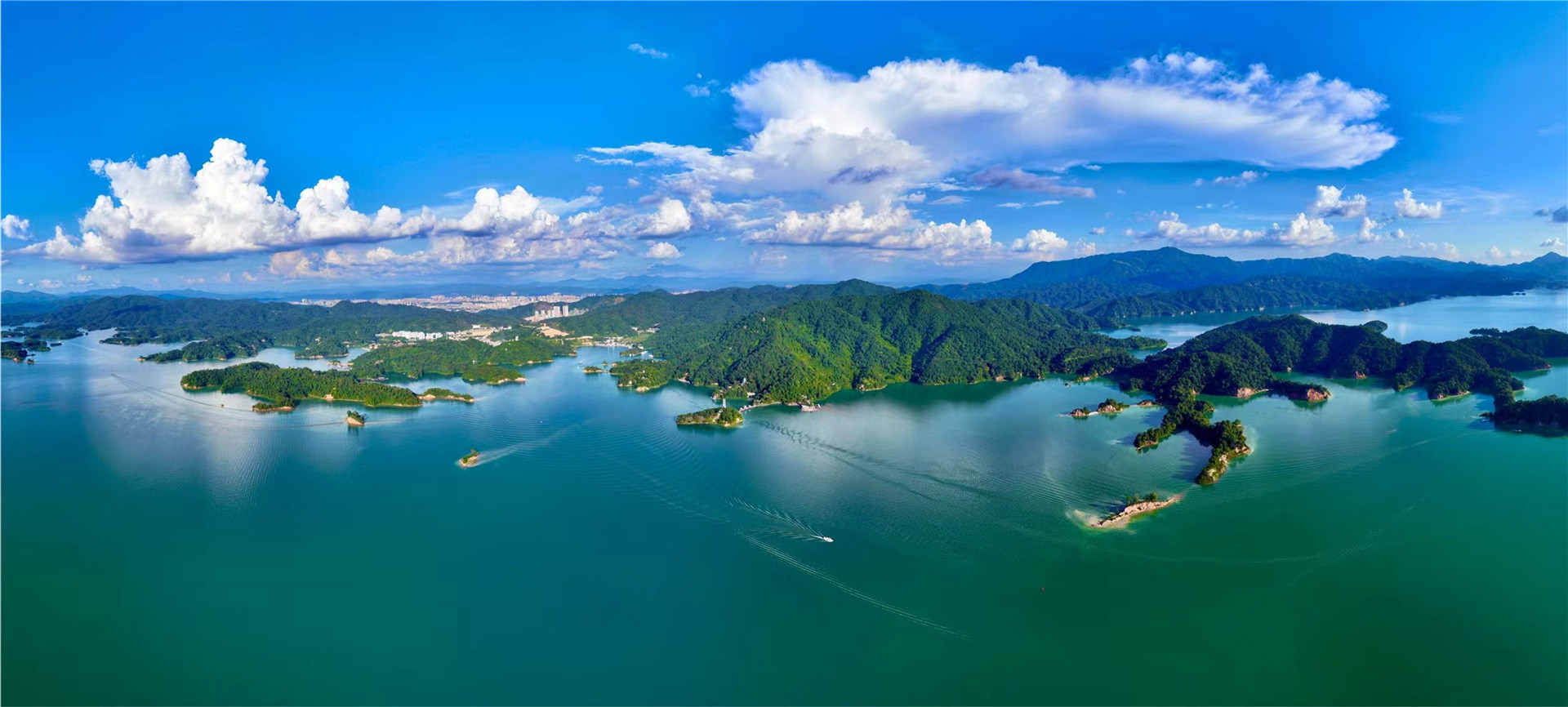 環萬綠湖世界級「湖泊+」綠色發展區建設專業委員會成立