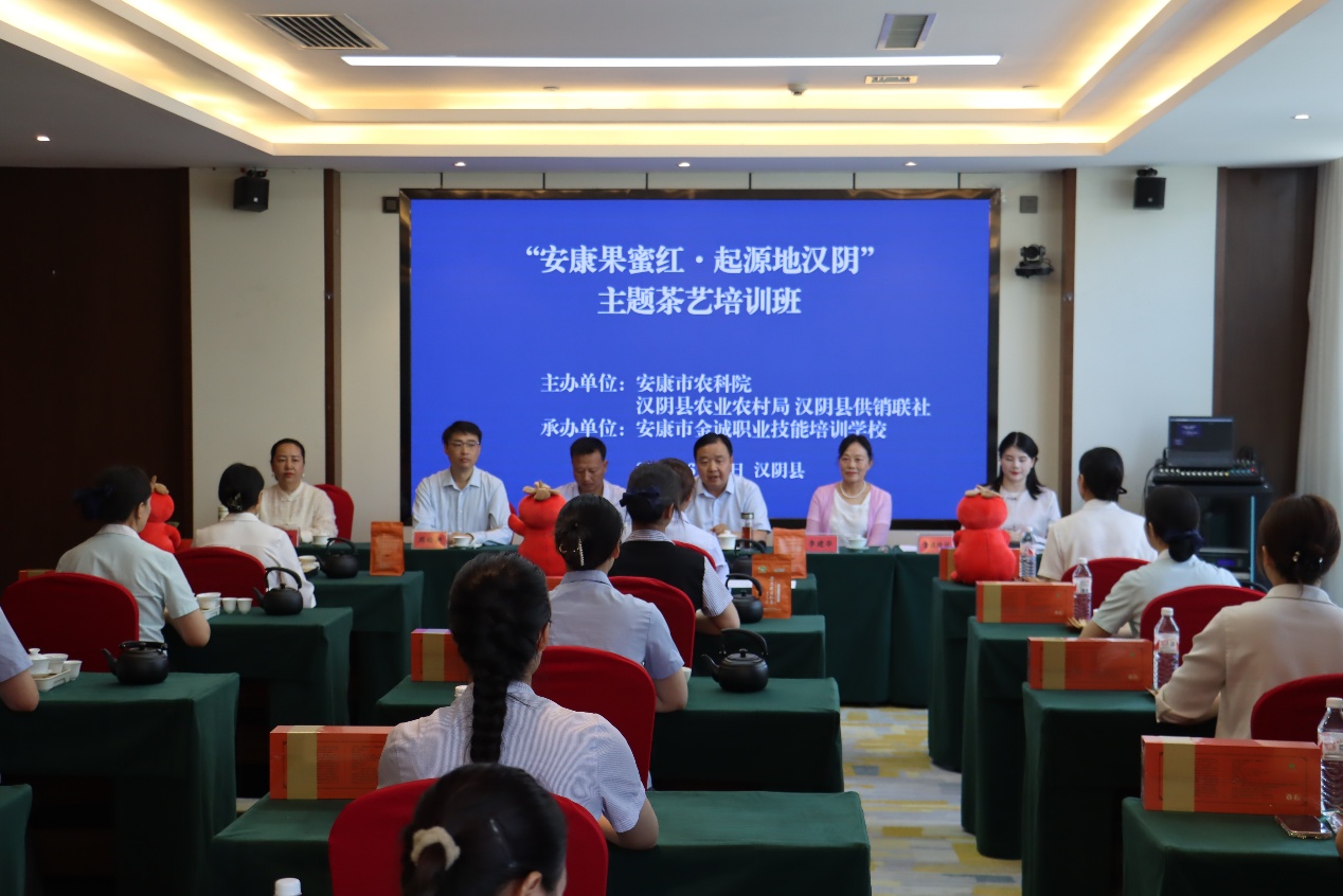 助推茶產業高質量發展 「安康果蜜紅·起源地漢陰」首期茶藝培訓啟動