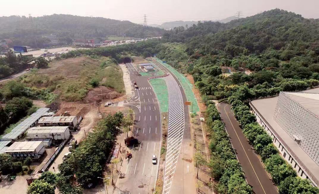 深圳園山：「煩心地」變身社區林地 髒亂「隧道口」重煥生機