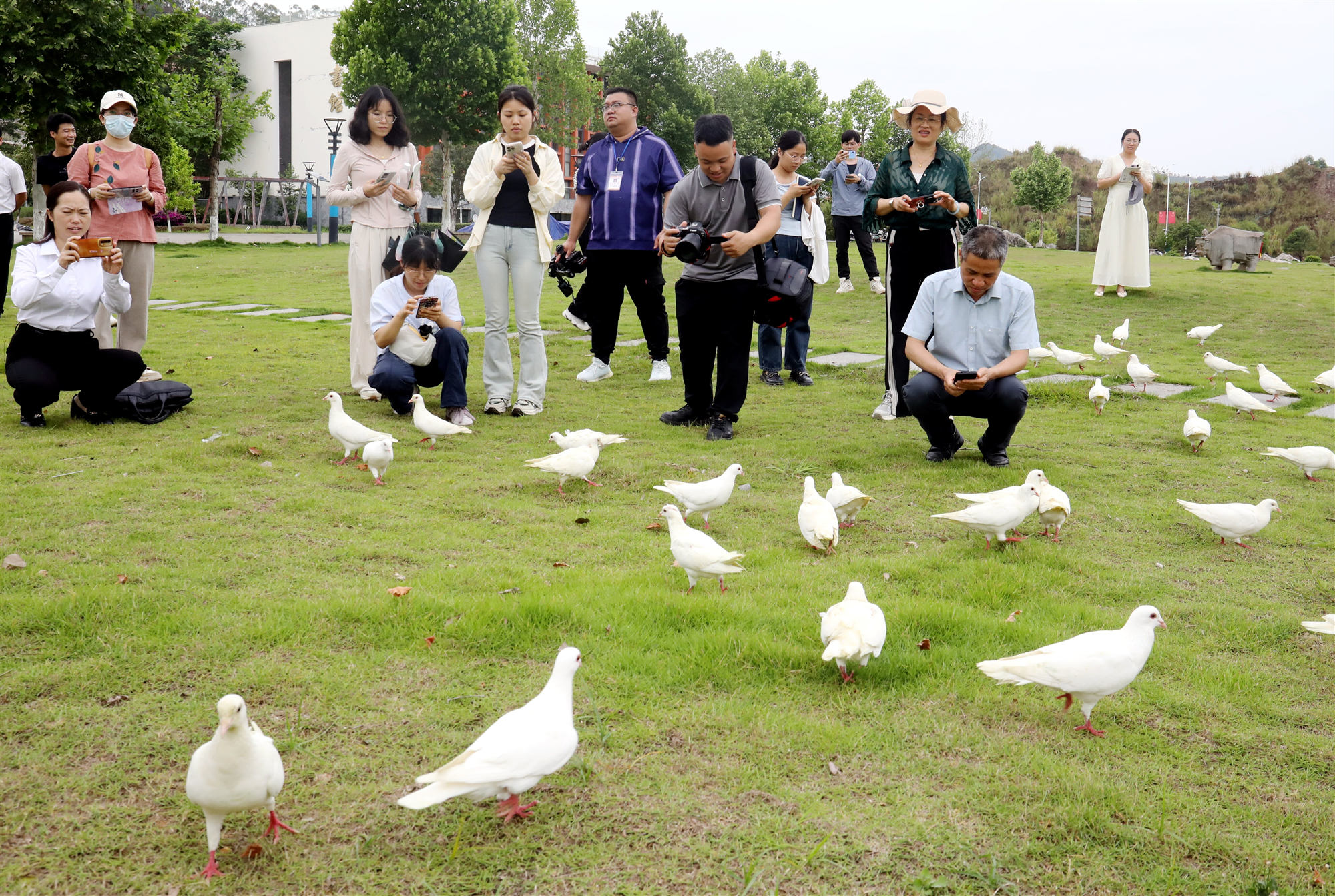 桂賀州平桂區打造「觀鳥+」生態旅遊新引擎