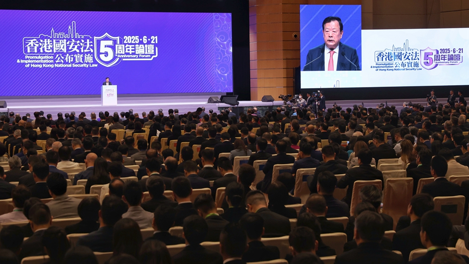 姚志勝：香港國安法是保護神 保障安全發展實現由治及興