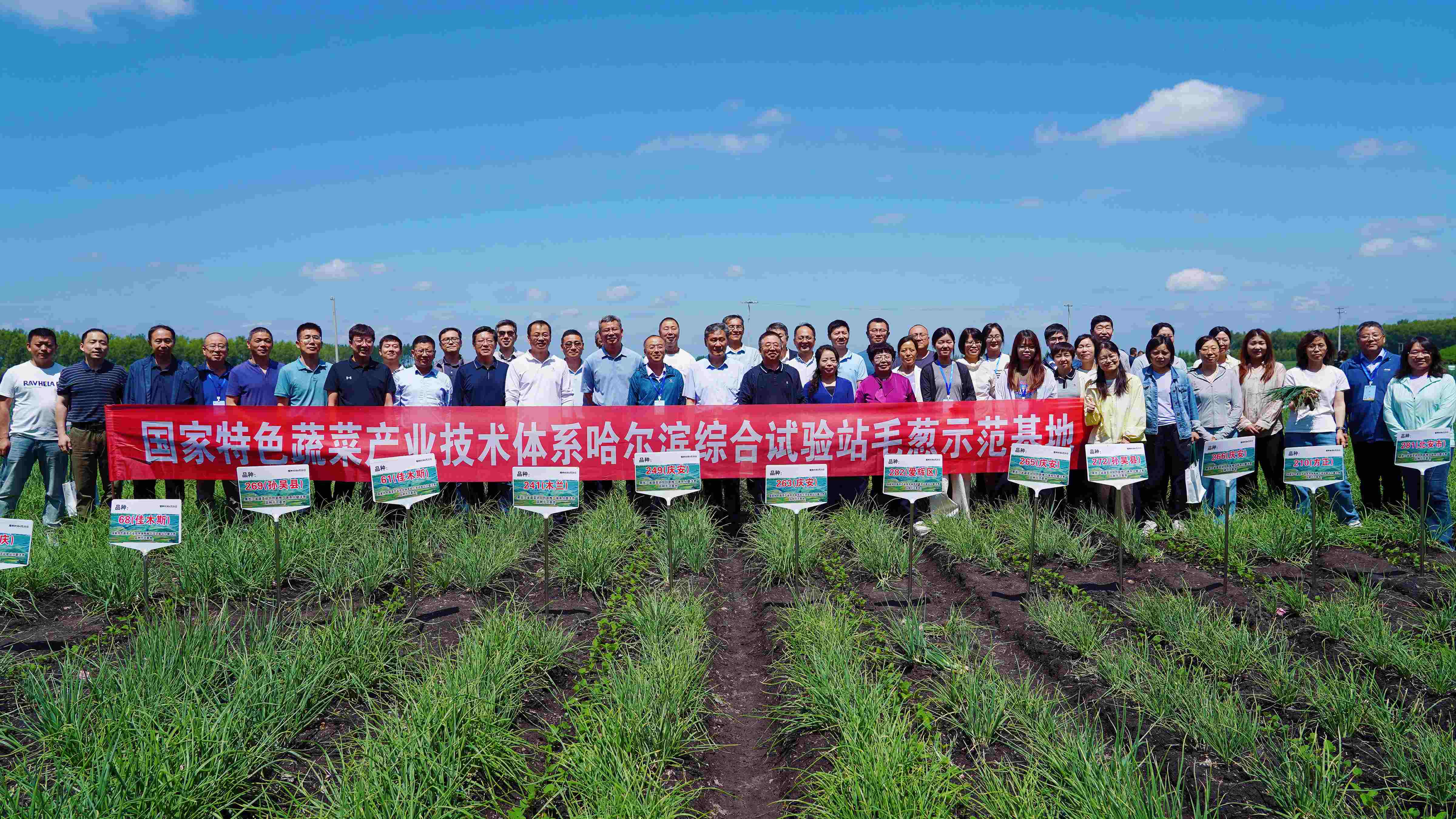全國特色蔬菜領域專家觀摩把脈黑龍江蔥蒜產業 科技賦能「寒地龍菜」高質量發展