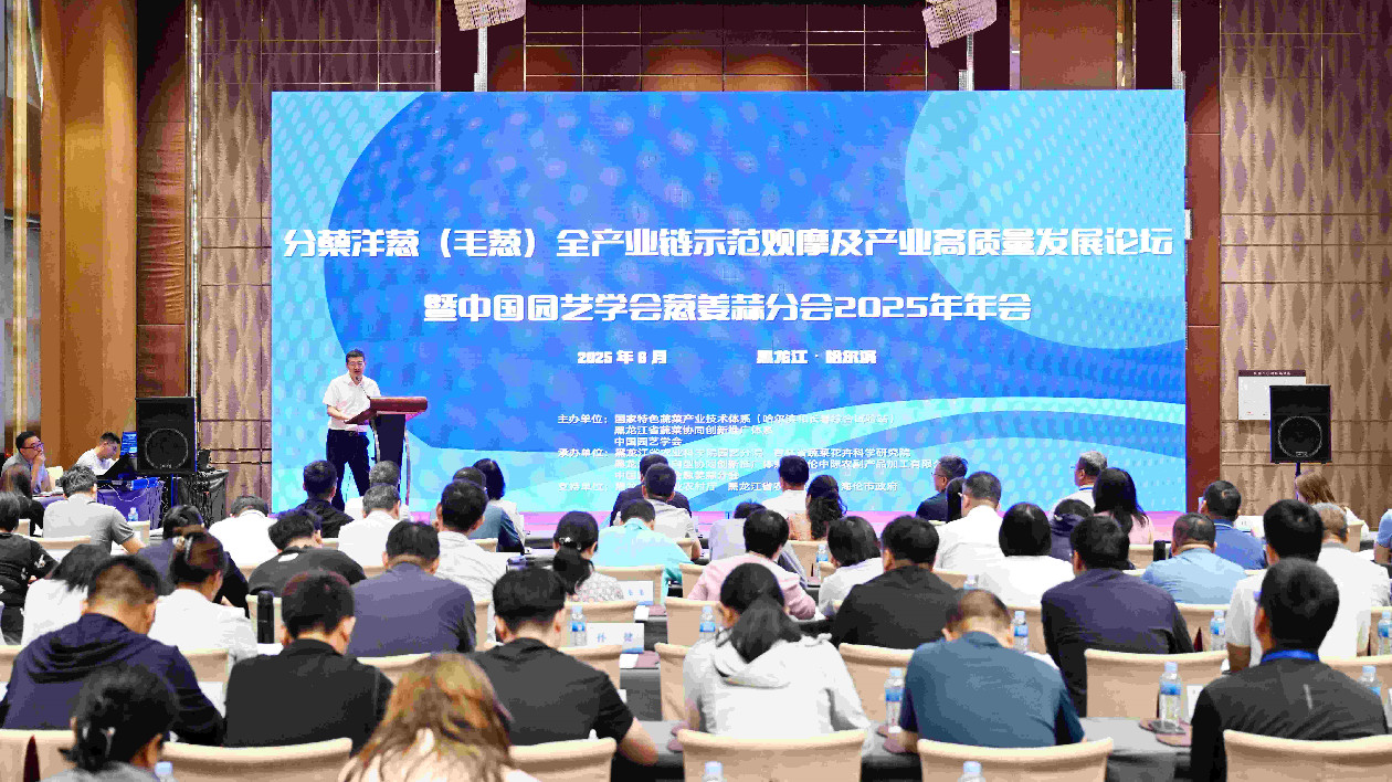 中國園藝學會蔥姜蒜分會2025年學術年會在哈召開