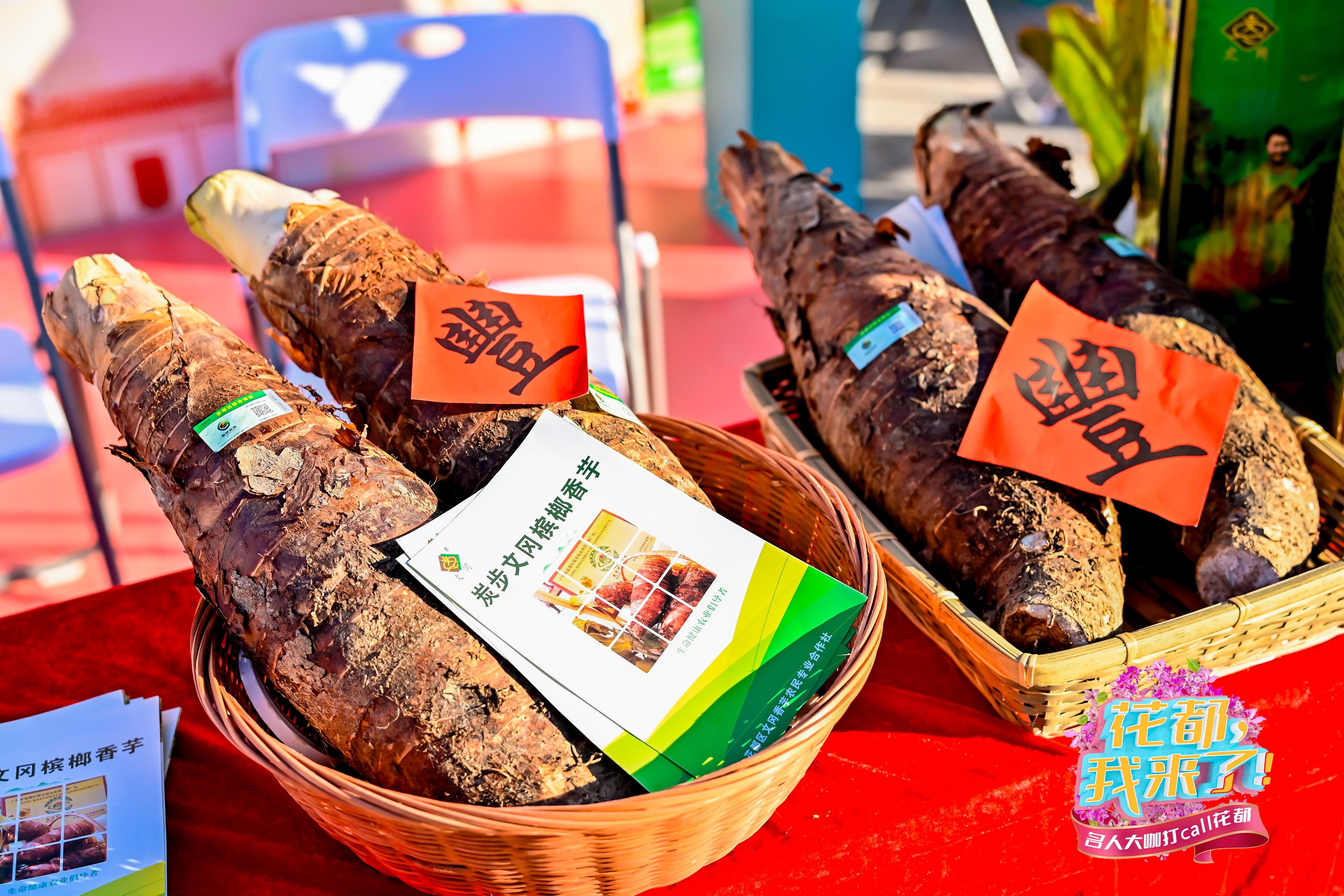 國字號認證+1！廣州花都「炭步檳榔香芋」香飄全國