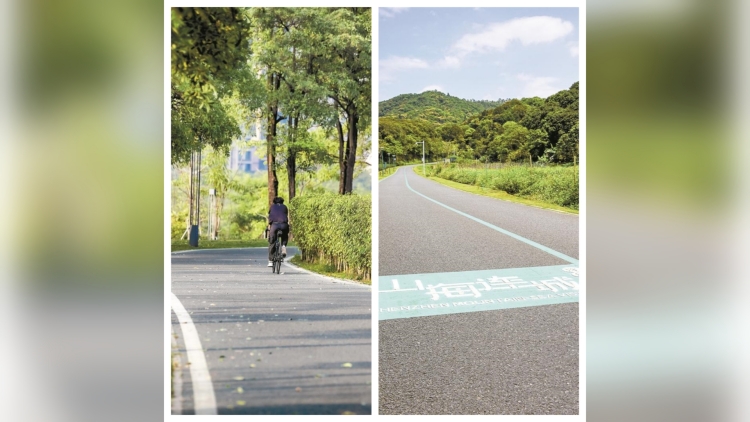 深圳寶安5條騎行路線走紅