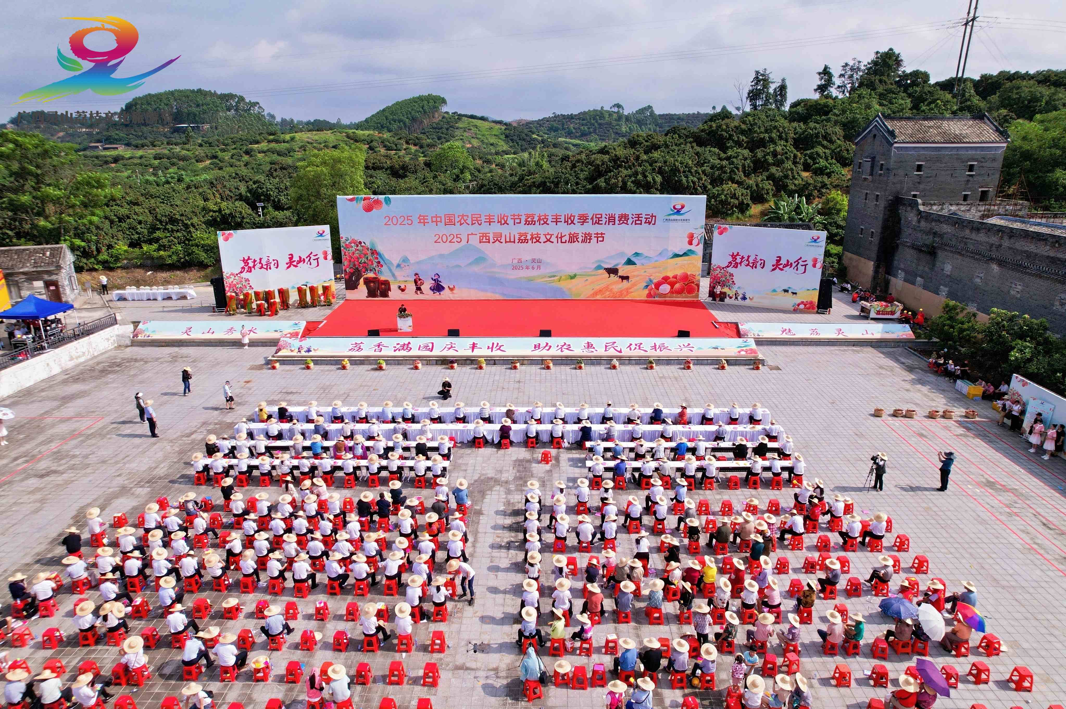 桂味荔枝熱銷全國 靈山豐收節簽約逾6500萬