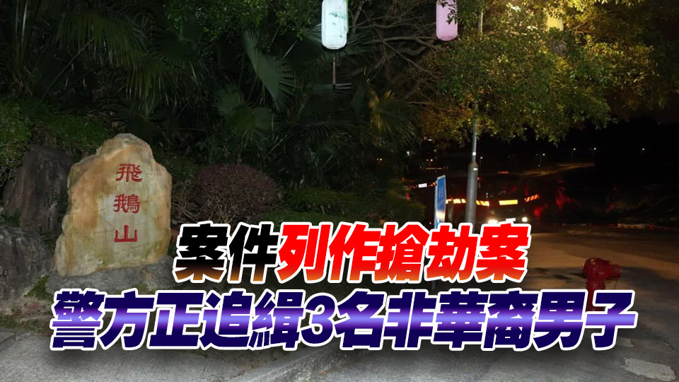 男子偕妻凌晨行飛鵝山如廁遇劫失3萬現金