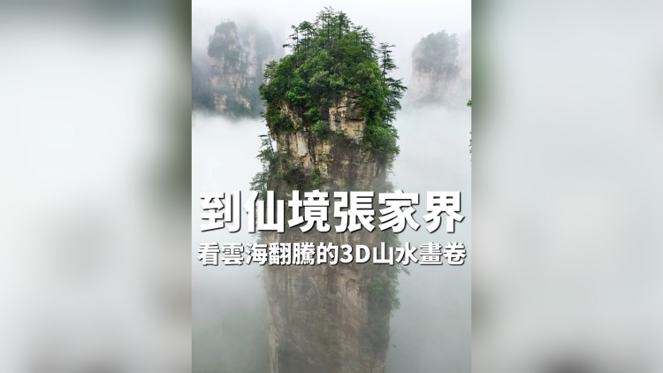 有片丨詩意山水 人間仙境 到張家界去看一看峰林如劍雲海翻騰的山水畫卷