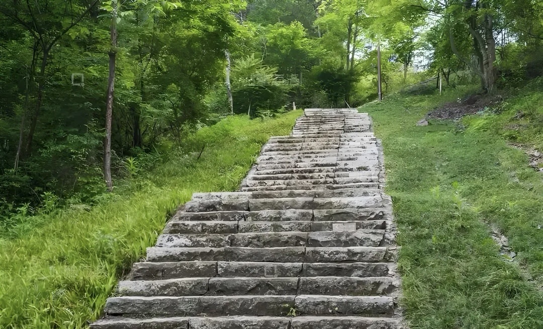 【樹成煮字】山階上的禪意