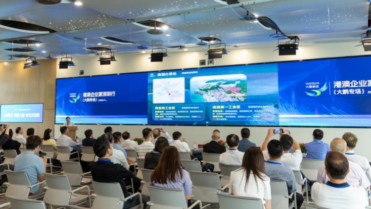 港澳企業家大鵬尋商機 「超級聯絡人」激活灣區新動能