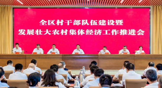 武漢蔡甸聚力打造城鄉融合和鄉村振興新樣板