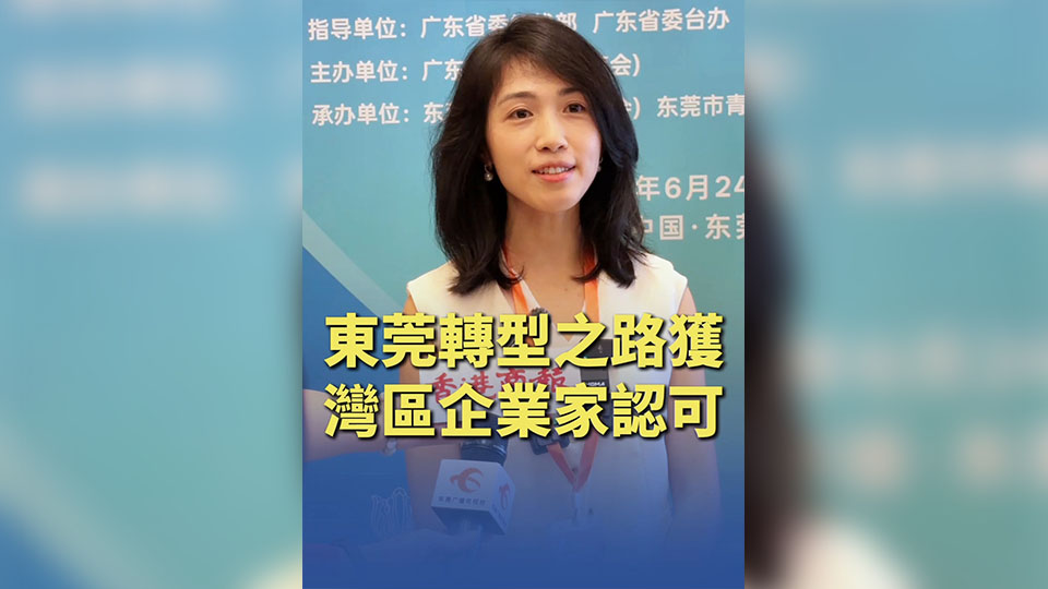 有片丨東莞轉型之路獲灣區企業家認可