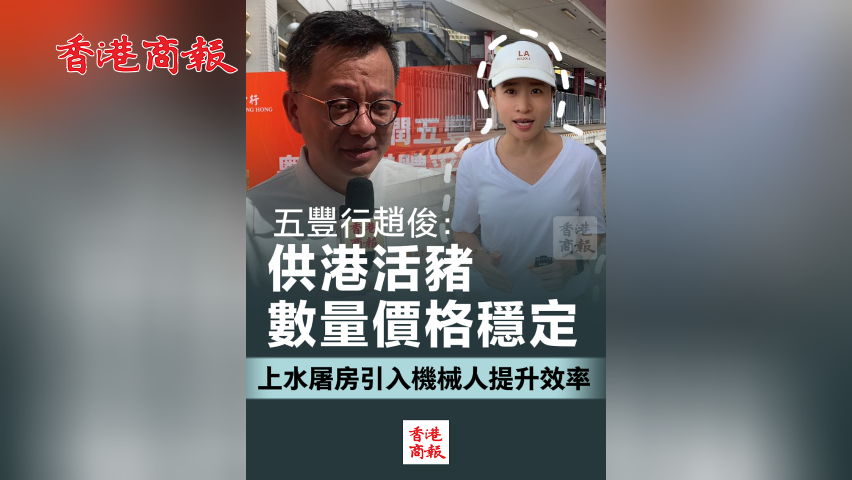 有片丨五豐行趙俊：供港活豬數量價格穩定 上水屠房引入機械人提升效率