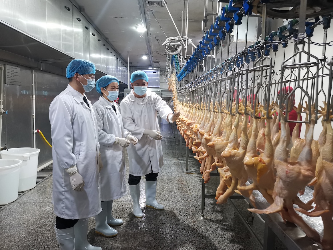 守護香港市民「菜籃子」 廣州海關今年已檢疫監管供港冰鮮禽肉約3萬噸