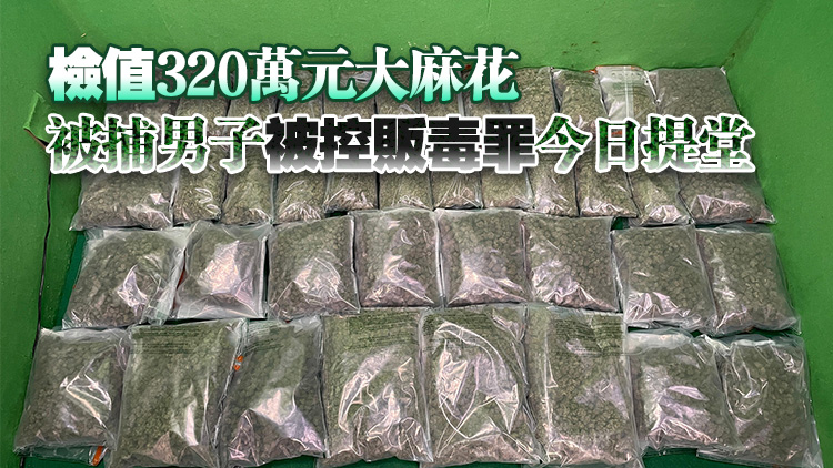 行李藏約15公斤懷疑大麻花 海關機場拘捕35歲男旅客