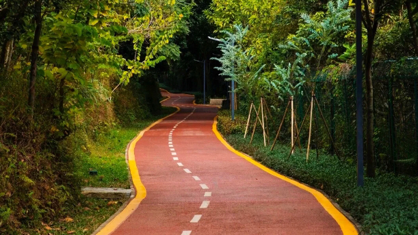 深圳生態環境質量持續向好 全市綠道總里程超3600公里