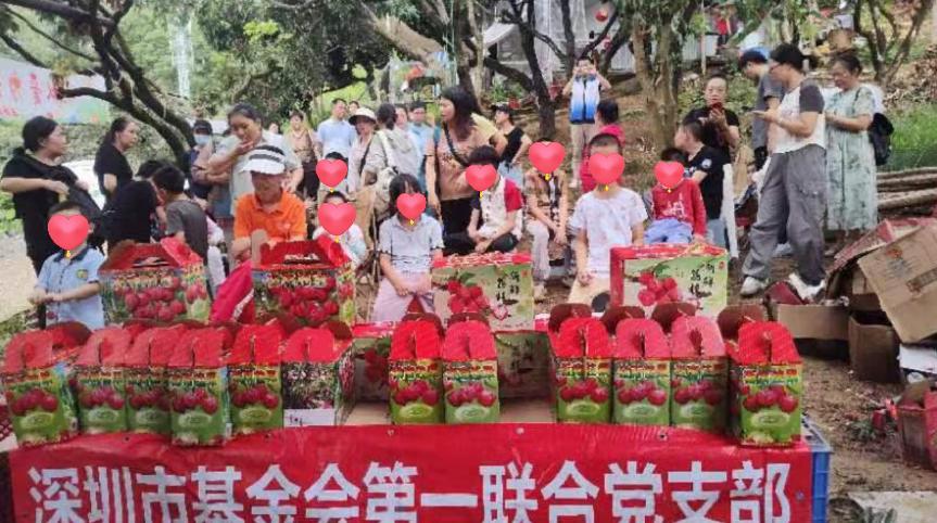 荔枝傳情,助農助殘 深圳五家基金會展開採摘之旅