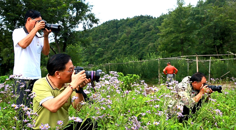 皖祁門縣：聚焦振興拍新景