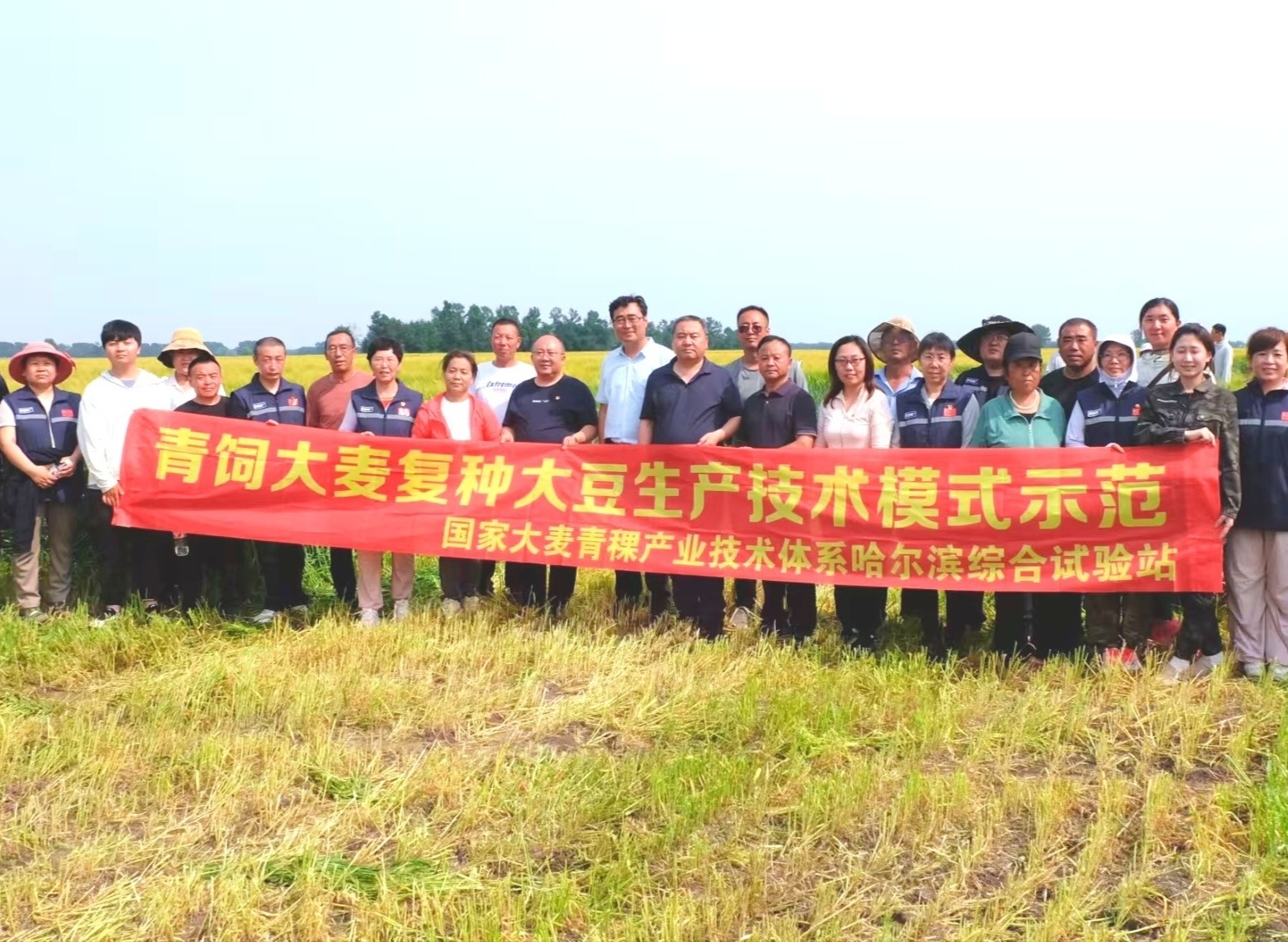 哈爾濱雙城：大麥複種大豆新模式 助力農民增效益