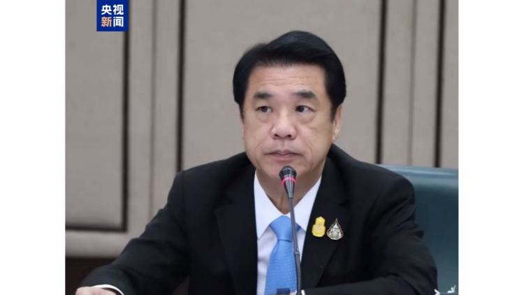 佩通坦泰國總理一職暫停 泰國副總理出任看守總理