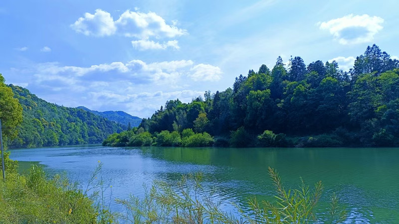 皖祁門縣：禁漁護河顯擔當種質保護區煥新生