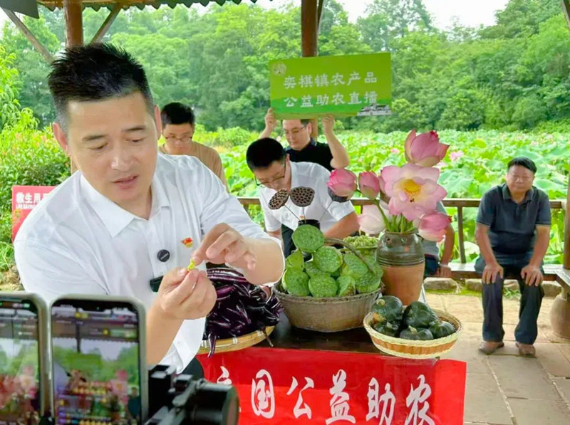 「三線敘事」+ 「四方對話」荷塘變身直播間 皖屯溪奕棋鎮創新「黨建+村播」共富模式